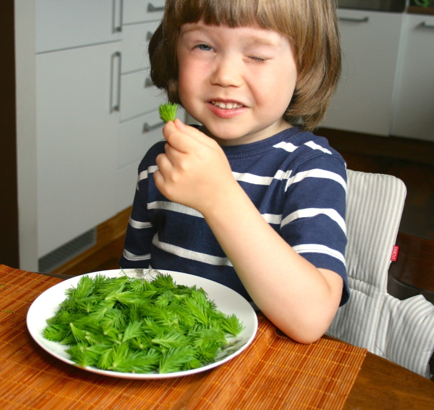 Child Eating Spruce Tips