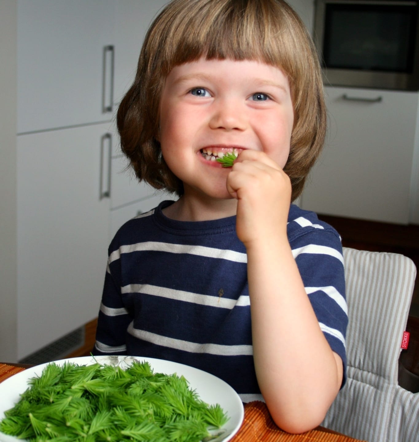 Child Eating Spruce Tips