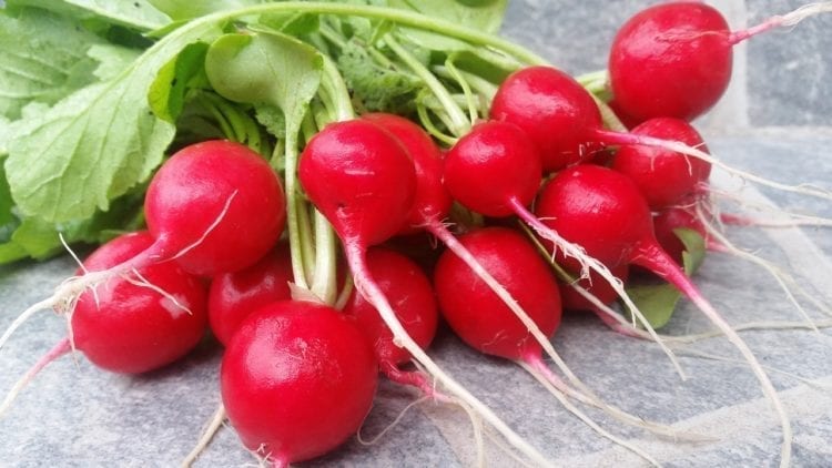 health benefits of radishes