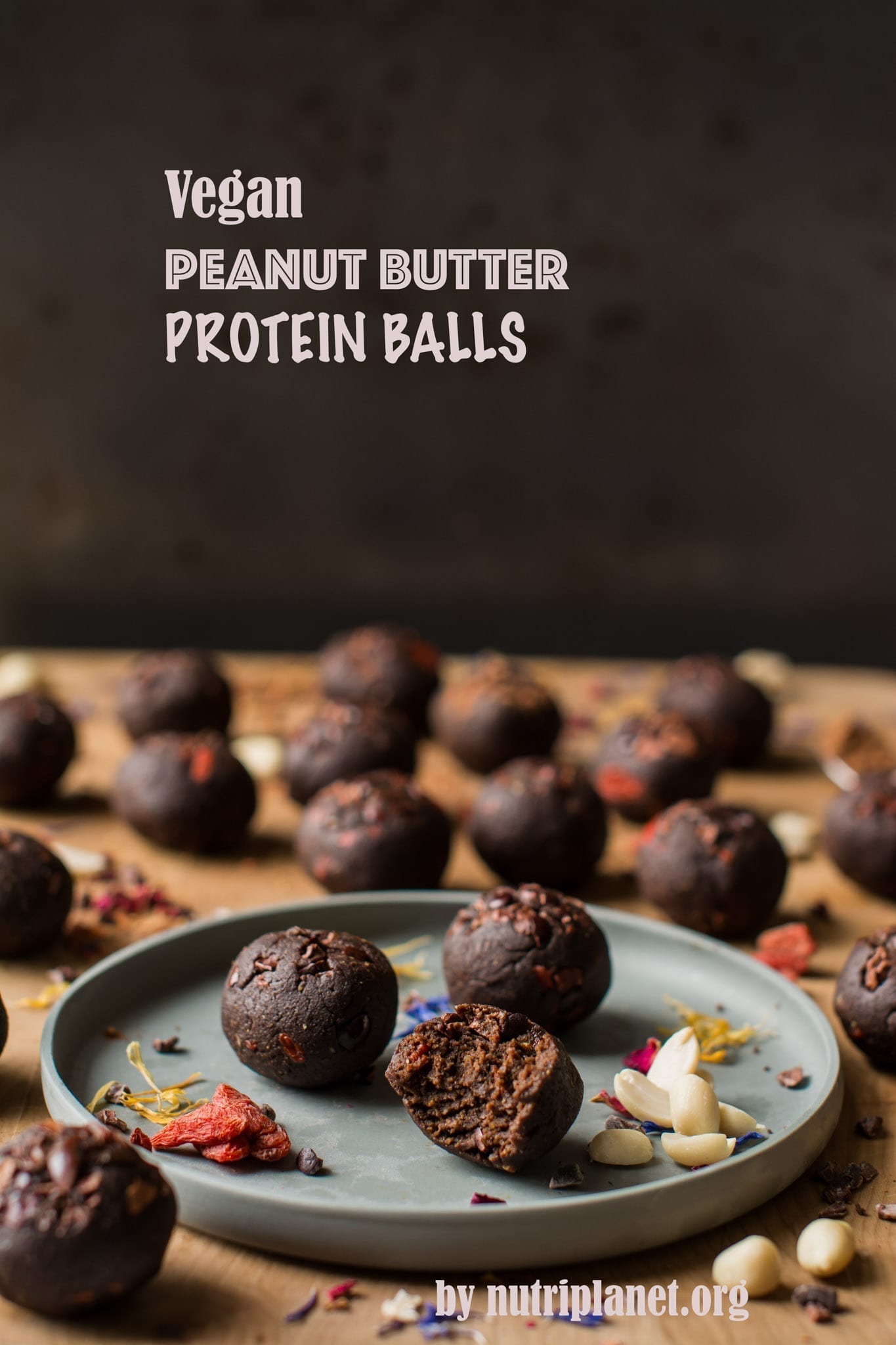 Vegan Peanut Butter Protein Balls