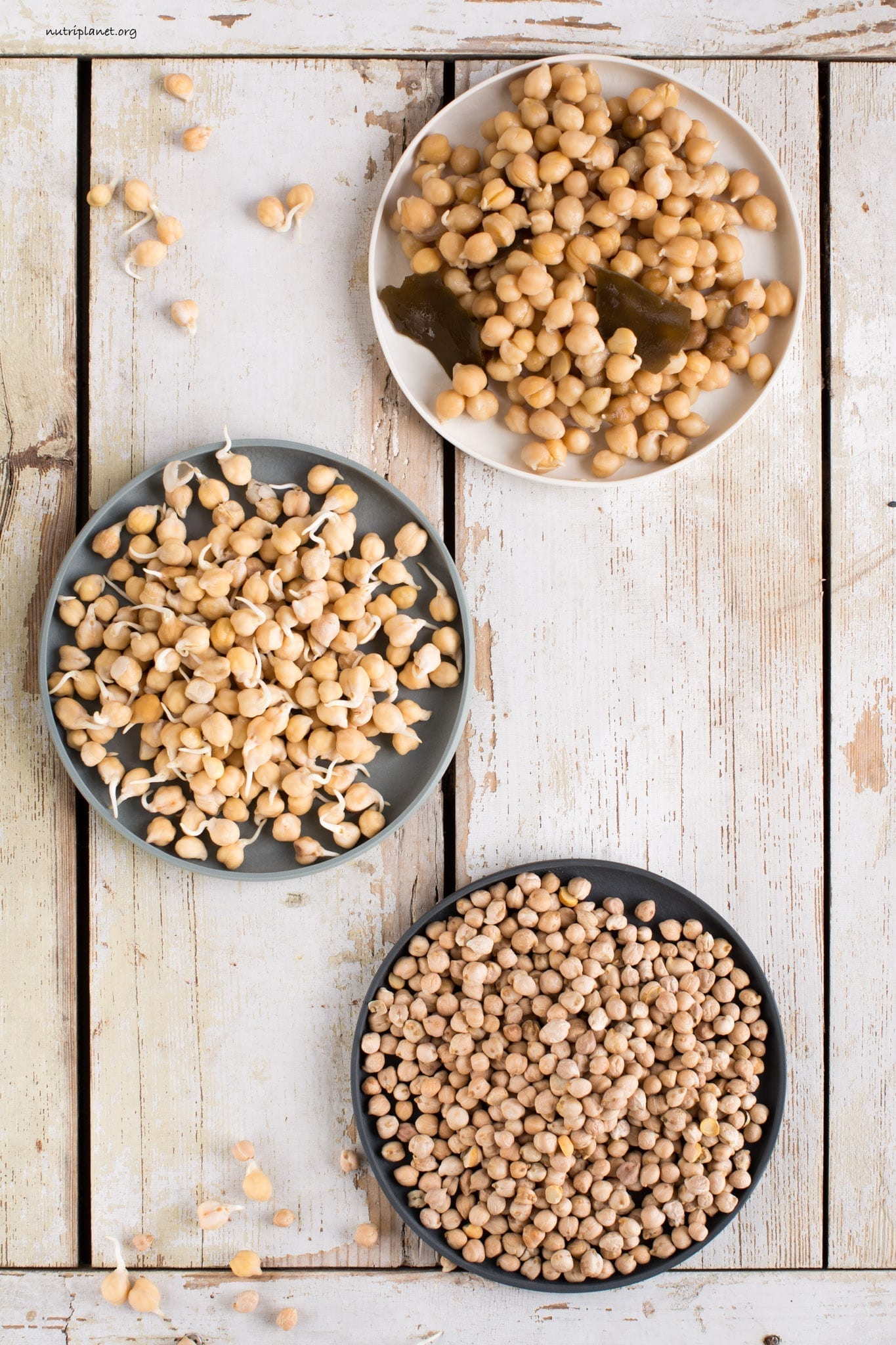 Sprouted Chickpeas, How soak, sprout and cook chickpeas.