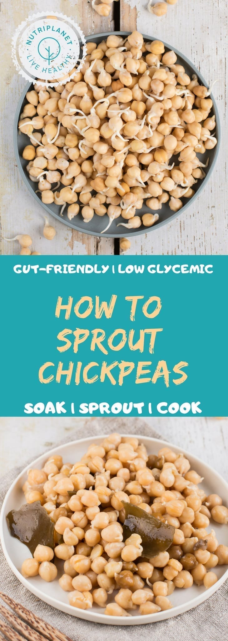 Sprouted Chickpeas 101 How To Soak Cook And Sprout Nutriplanet